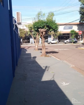 Presidente prudente, 